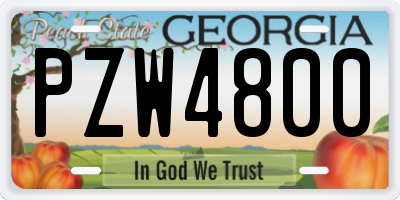 GA license plate PZW4800