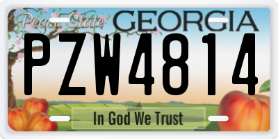 GA license plate PZW4814