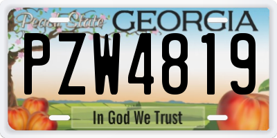 GA license plate PZW4819