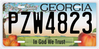 GA license plate PZW4823