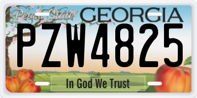 GA license plate PZW4825
