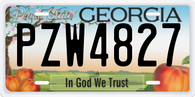 GA license plate PZW4827