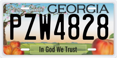 GA license plate PZW4828