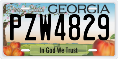 GA license plate PZW4829
