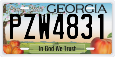 GA license plate PZW4831