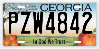 GA license plate PZW4842