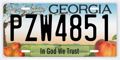 GA license plate PZW4851