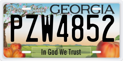GA license plate PZW4852