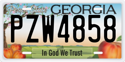 GA license plate PZW4858