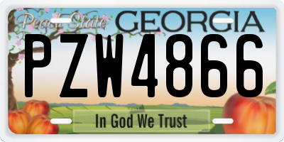 GA license plate PZW4866