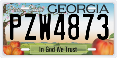 GA license plate PZW4873