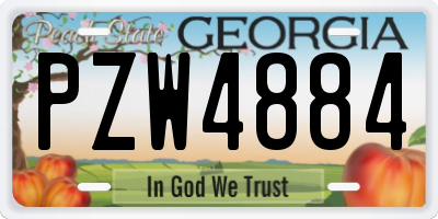 GA license plate PZW4884