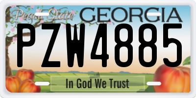 GA license plate PZW4885