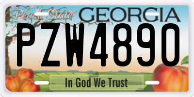 GA license plate PZW4890