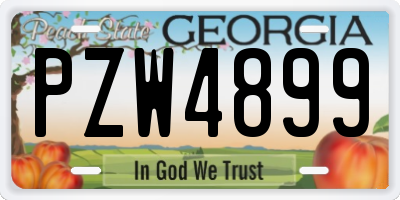 GA license plate PZW4899