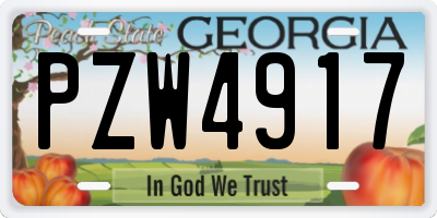 GA license plate PZW4917