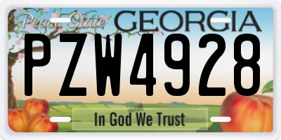 GA license plate PZW4928
