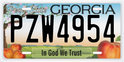 GA license plate PZW4954