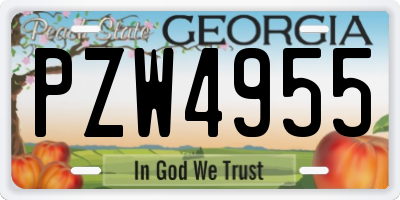 GA license plate PZW4955