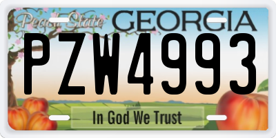 GA license plate PZW4993