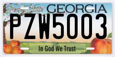 GA license plate PZW5003