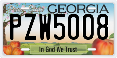 GA license plate PZW5008