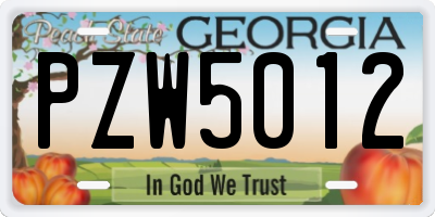 GA license plate PZW5012