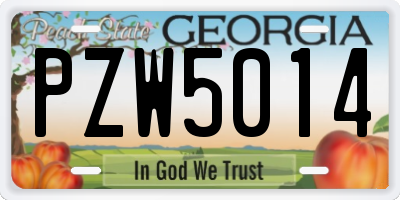 GA license plate PZW5014