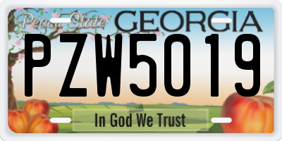 GA license plate PZW5019