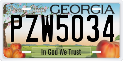 GA license plate PZW5034
