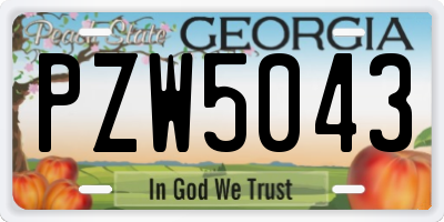 GA license plate PZW5043