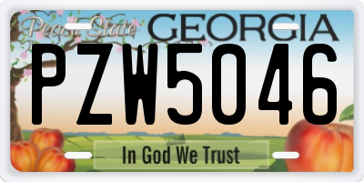 GA license plate PZW5046