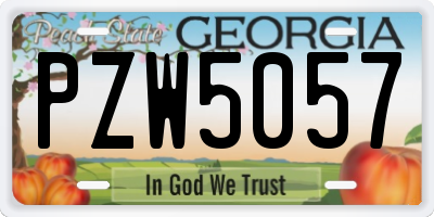 GA license plate PZW5057