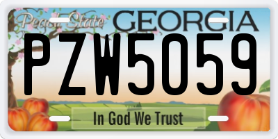 GA license plate PZW5059