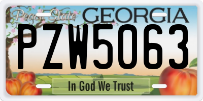 GA license plate PZW5063