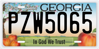GA license plate PZW5065