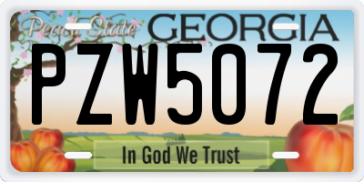 GA license plate PZW5072