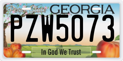 GA license plate PZW5073