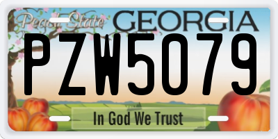 GA license plate PZW5079