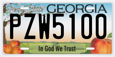 GA license plate PZW5100