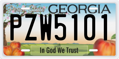 GA license plate PZW5101