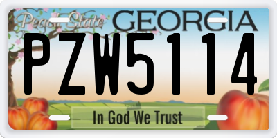 GA license plate PZW5114