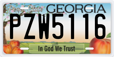GA license plate PZW5116