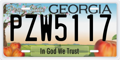 GA license plate PZW5117
