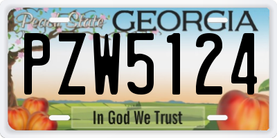 GA license plate PZW5124