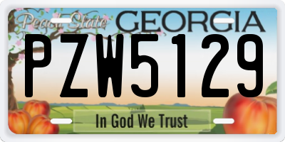 GA license plate PZW5129
