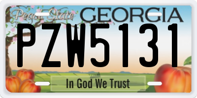 GA license plate PZW5131
