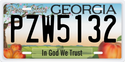 GA license plate PZW5132