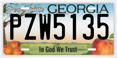 GA license plate PZW5135