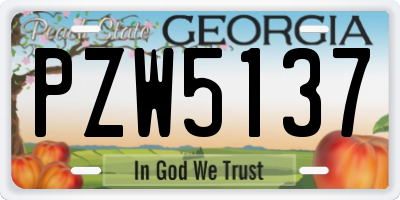 GA license plate PZW5137